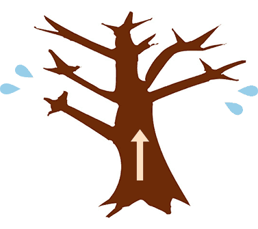 自律神経の乱れをわかりやすく説明します